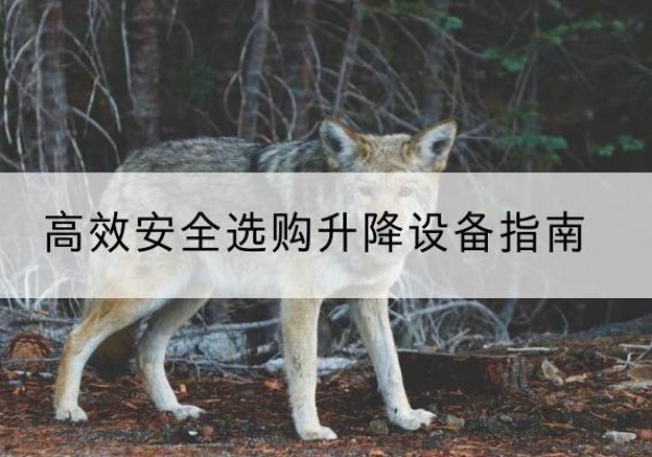 昔阳升降货梯厂家推荐-*安全选购升降设备指南