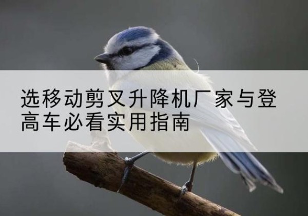 昔阳电动升降机厂家-选移动剪叉升降机厂家与登高车必看实用指南