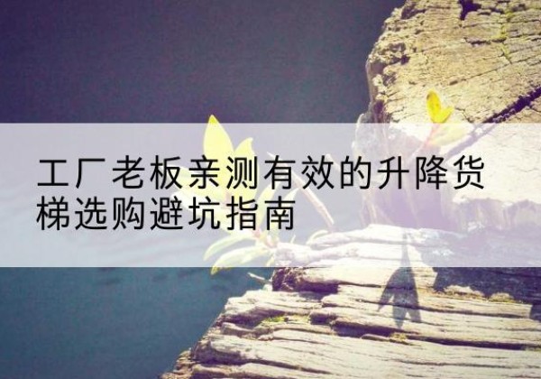 昔阳升降货梯怎么选-工厂老板亲测有效的升降货梯选购避坑指南